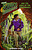 View more details on this item