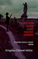 Cover image for Professor Howe Goes Mostly Missing