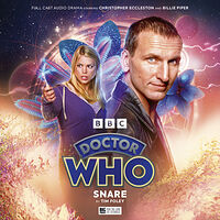 Cover image for Snare