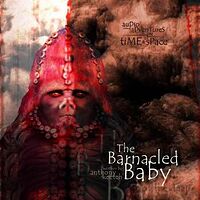 Cover image for The Barnacled Baby