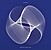 View more details for Doctor Who: Theme From the BBC TV Series (Delia Derbyshire version) View more details for Doctor Who: Theme From the BBC TV Series (Delia Derbyshire version)